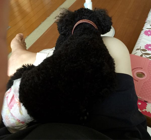 rblog-20160810190326-07.jpg