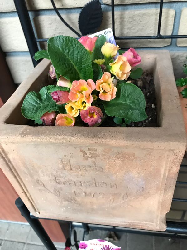 rblog-20190423182021-05.jpg