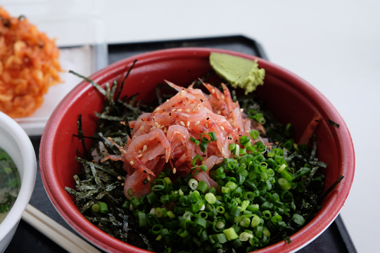 2016 04 09_2897.jpg