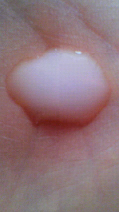 2012032211020000.jpg