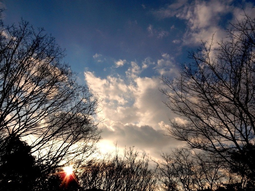 夕暮れ 1.JPG