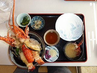 P1060299.jpg