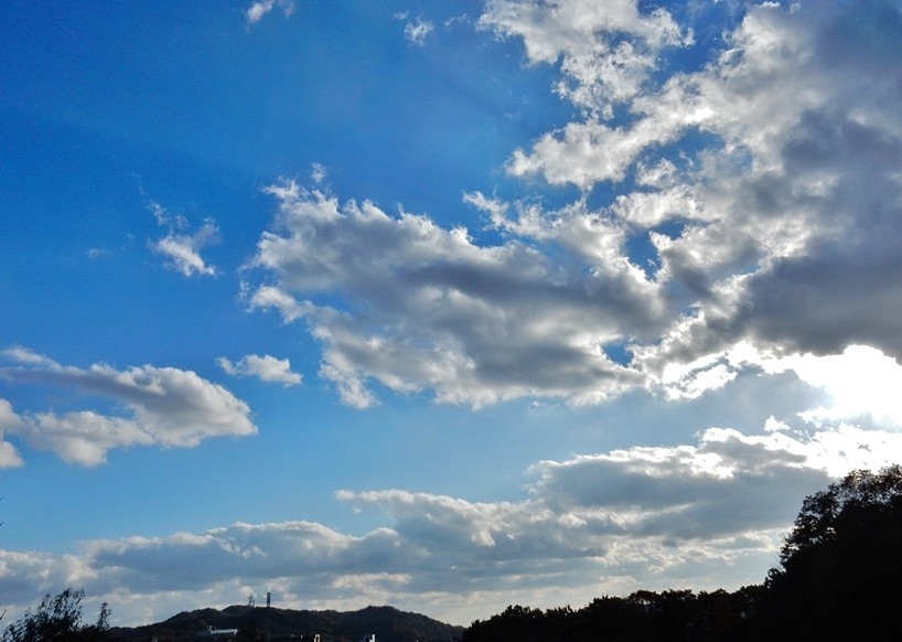 空3.JPG