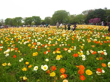 IMG_3581f.JPG