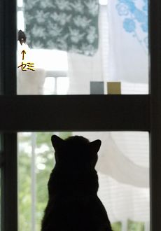 ジジジ…