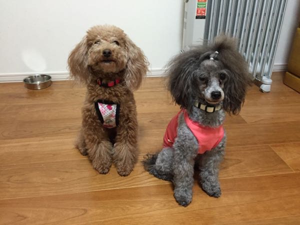 rblog-20150923210128-00.jpg