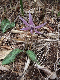DSCN0014.jpg