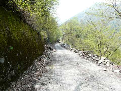 P1220078.JPG