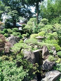 庭園.jpg
