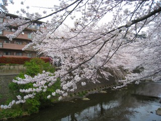 IMG_0931.jpg