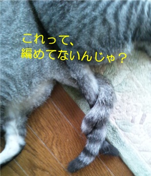 20120814_2.jpg