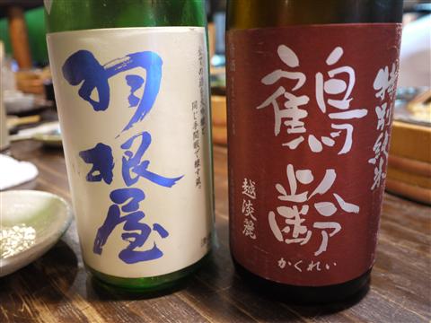 P1130637.jpg