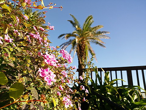 IMG_20161217_083518.jpg