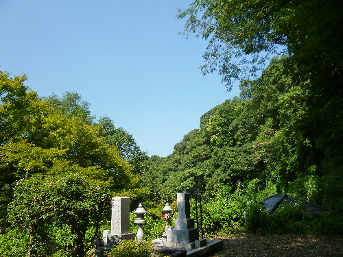 P1120283(1).JPG