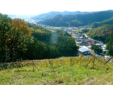 P1250854.jpg