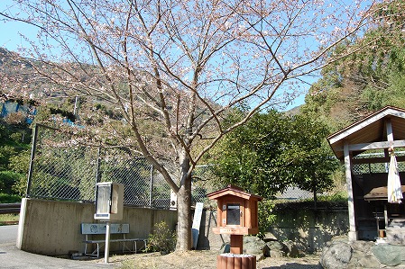 DSC_1185.jpg