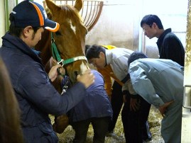 乗馬教室の様子2