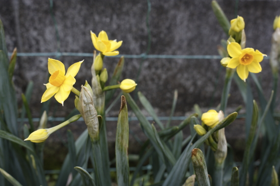 20170305_002.JPG