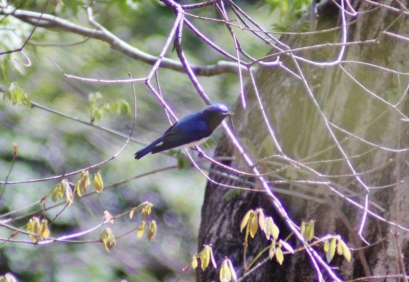 IMG_7792 (800x552).jpg