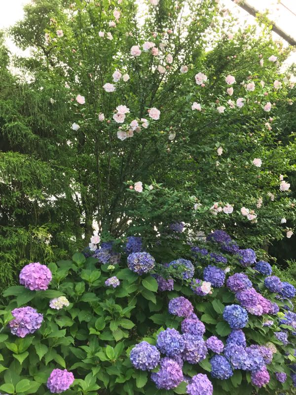 rblog-20180624181756-03.jpg