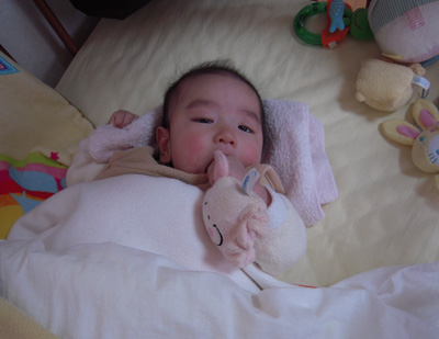 12020702.jpg