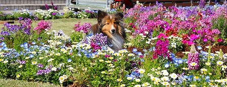 IMG_7986.jpg