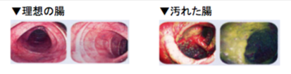 !cid_ii_13e88db65da89b62.png