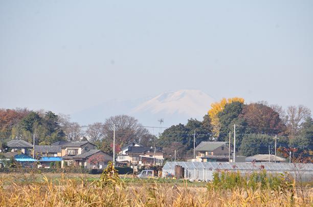 さきたま古墳から浅間山