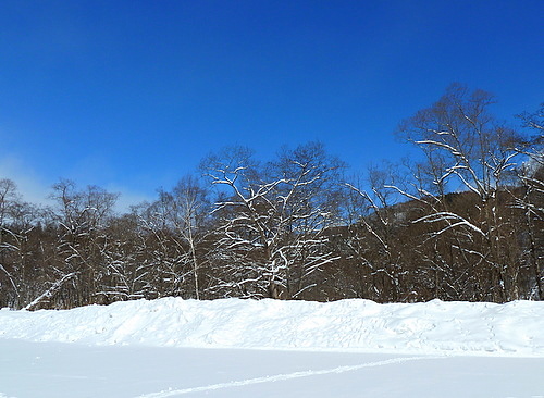 009-1.JPG