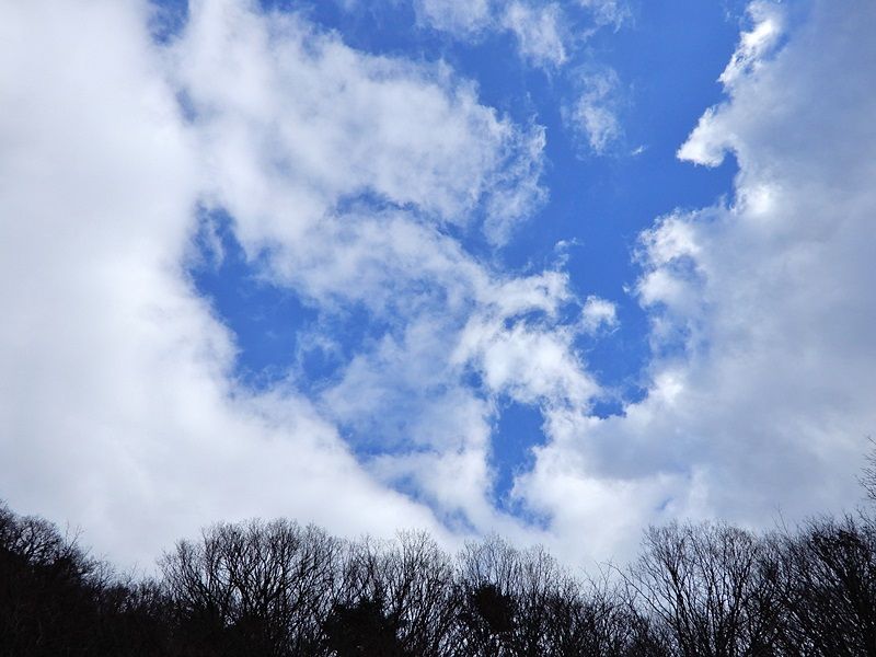 空2