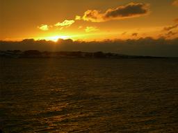 DSCN6472-w256.jpg