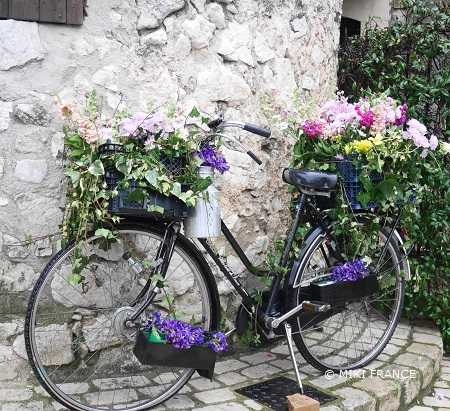 さて 次に何を描くか 困ってる 門外漢のねごとたわごとひとりごと 楽天ブログ