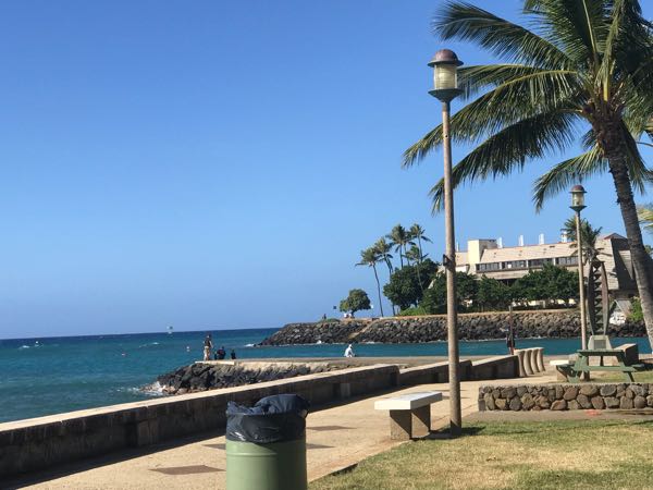 rblog-20190106195623-00.jpg