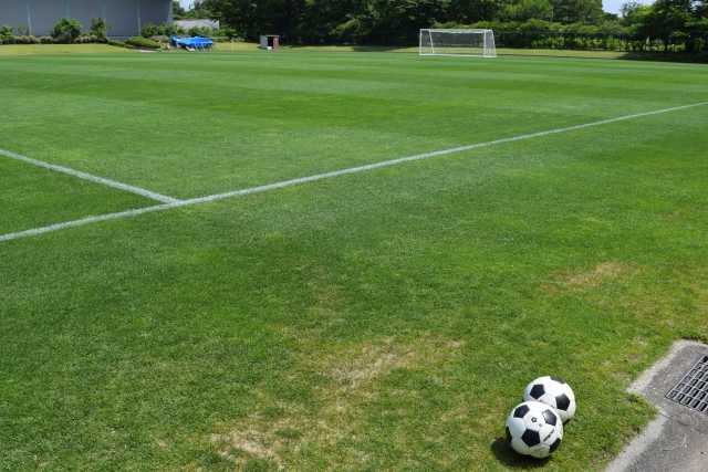 サッカー 溢れる好奇心に従う私の徒然日記 楽天ブログ