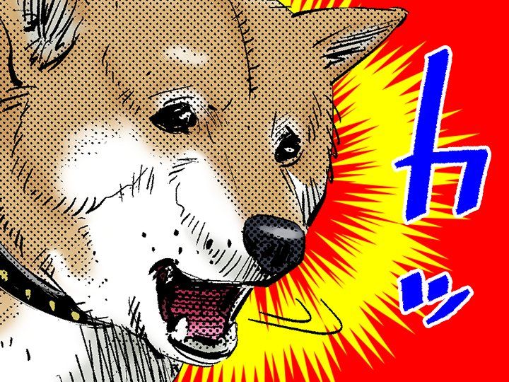 カテゴリ未分類 ゴールデンカムイの末裔たち 楽天ブログ