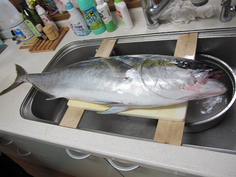 buri1