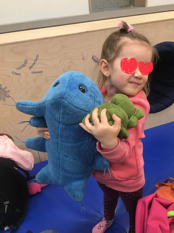rblog-20190305204806-02.jpg