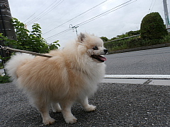 conv0527.JPG