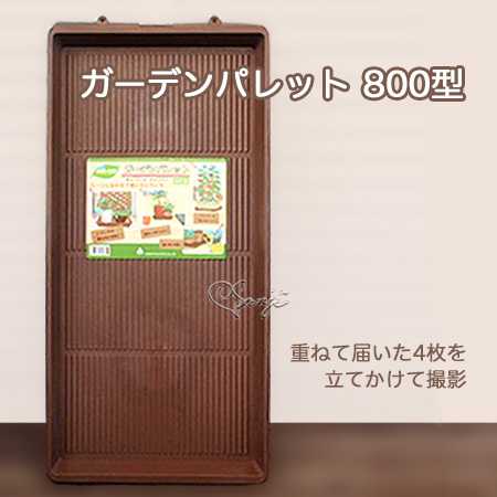 重ねて届いた4枚を立てかけて撮影