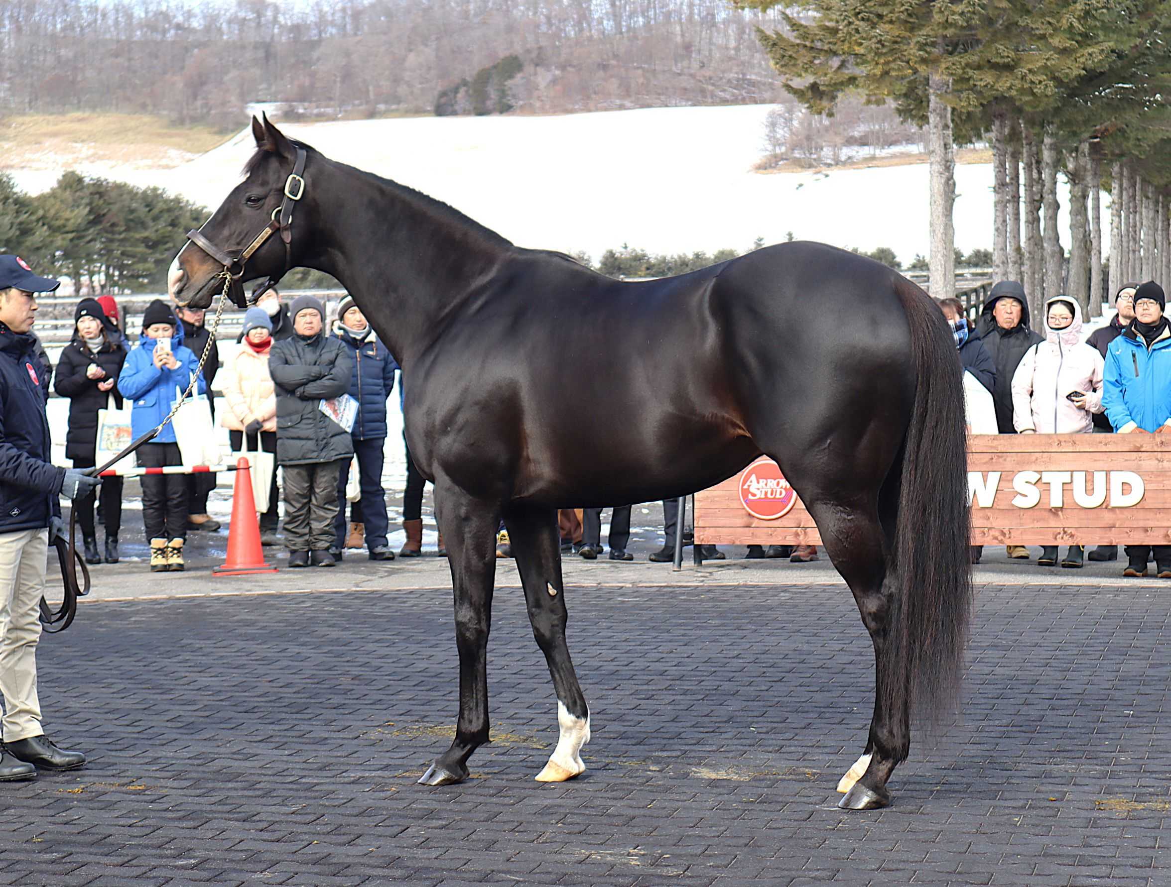 2025年ホッカイドウ競馬・9月18日メインは「第25回フローラル