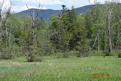 DSC_0036.jpg
