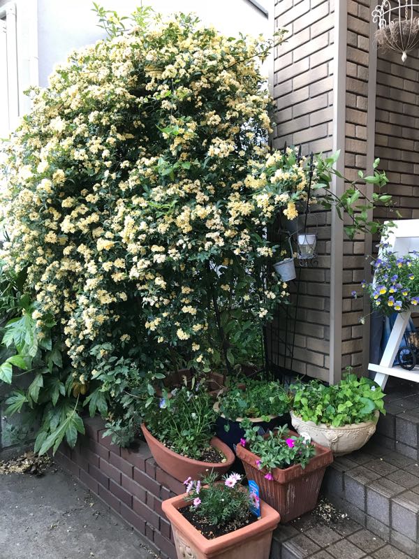 rblog-20180429182853-07.jpg