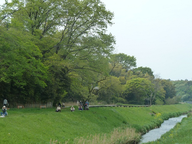 2015.4.25 004.JPG