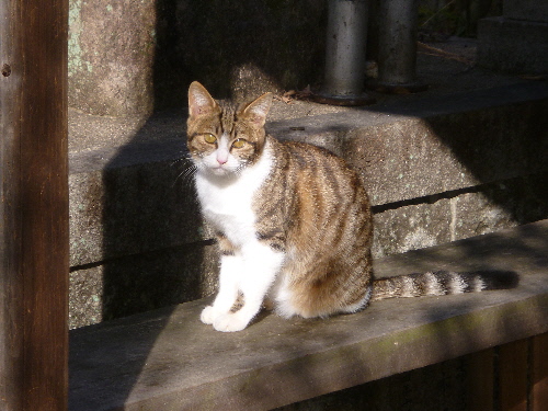 P1140459(2).JPG