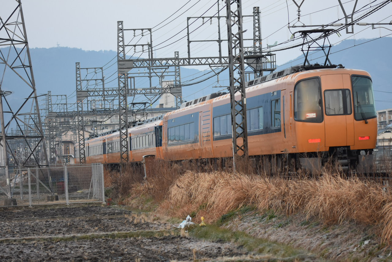 DSC_8763.JPG