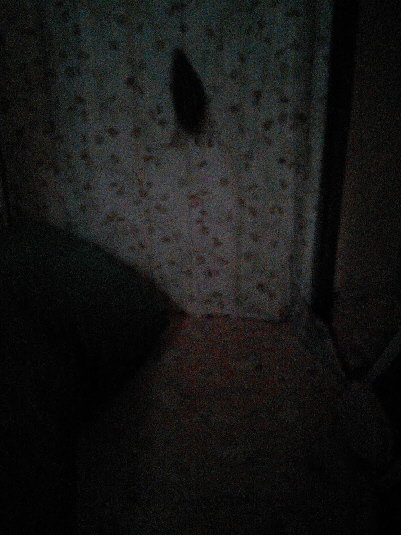 20150705(6)