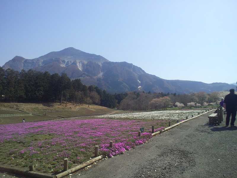 背景に武甲山。