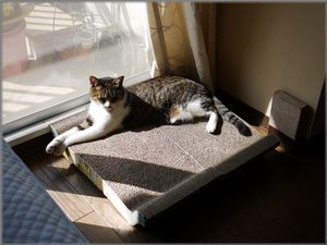 ゆったりおひとり様