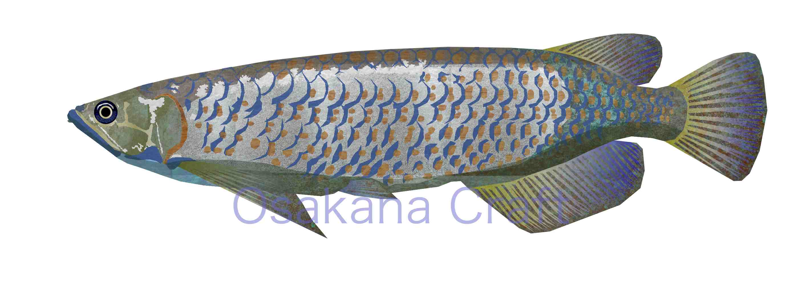 アロワナ Arowana | Osakana Craft イラスト熱帯魚図鑑 - 楽天ブログ