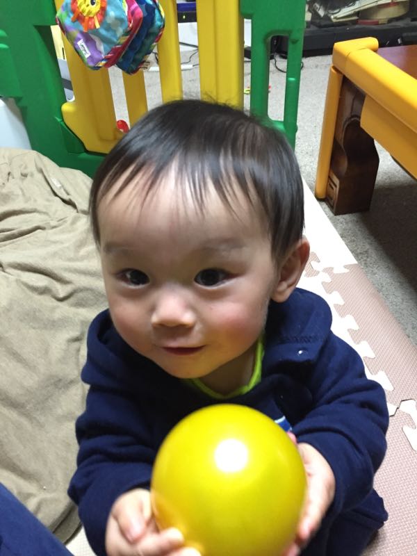 rblog-20141110171341-01.jpg